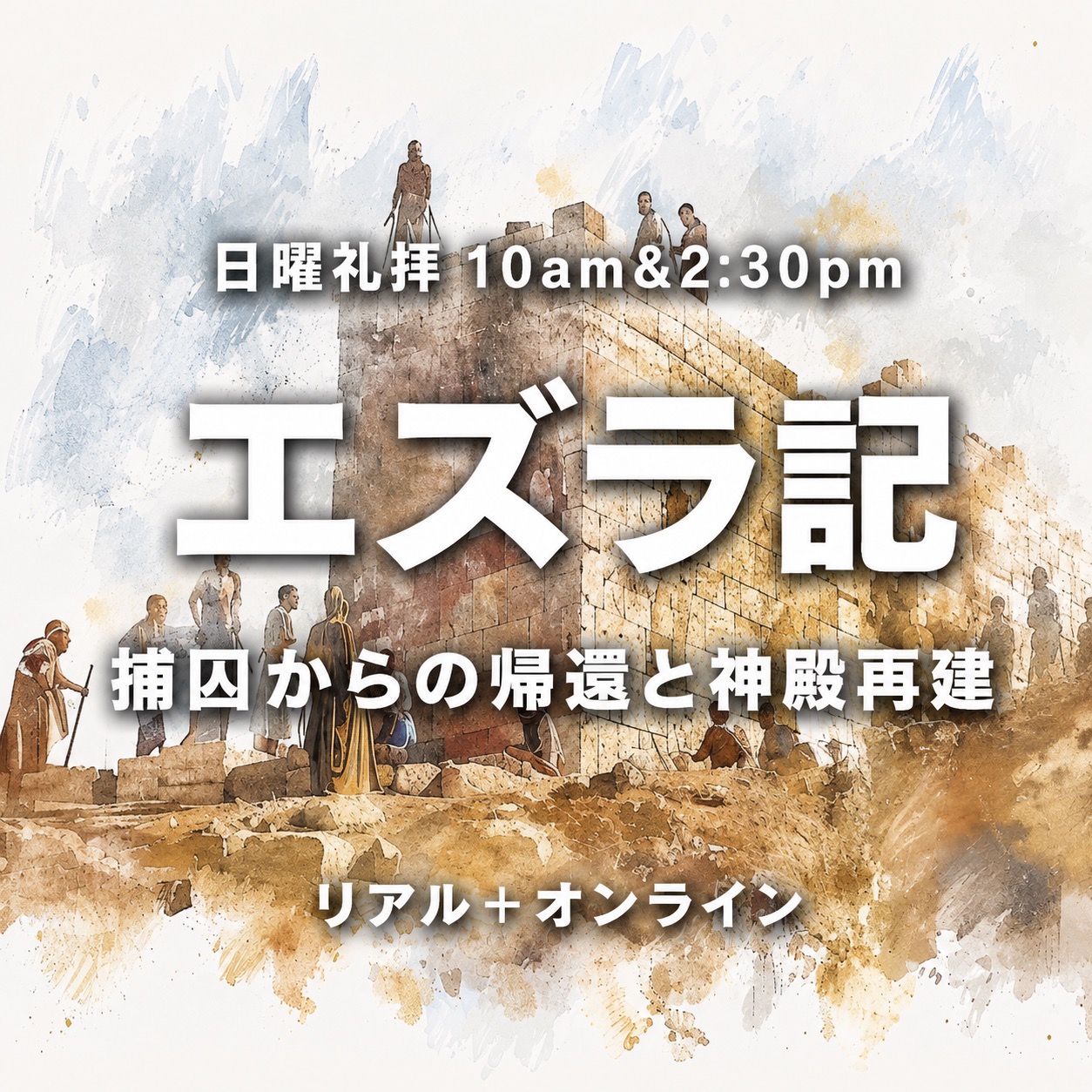 SP_slider03